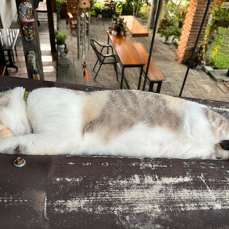 ครูหนูบ้านพัก แหลมงอบ Krunou Baanpak Trat Eksteriør bilde
