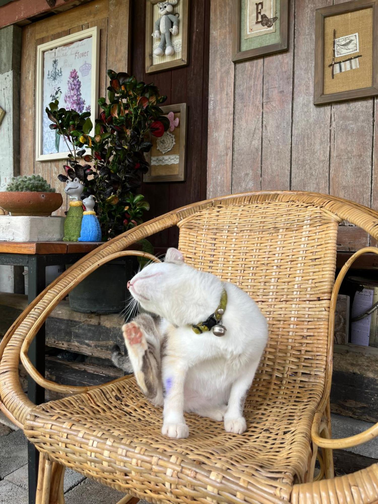 ครูหนูบ้านพัก แหลมงอบ Krunou Baanpak Trat Eksteriør bilde